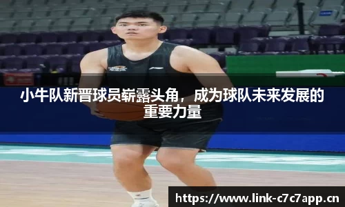 小牛队新晋球员崭露头角，成为球队未来发展的重要力量