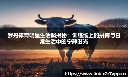 罗丹体育明星生活照揭秘：训练场上的拼搏与日常生活中的宁静时光