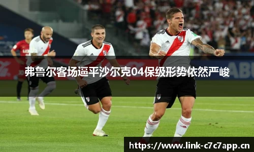 弗鲁尔客场逼平沙尔克04保级形势依然严峻