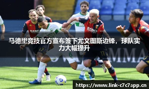 c7娱乐
